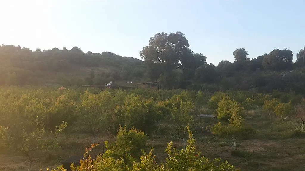 Sun Dalyan Hotel And Organic Farm