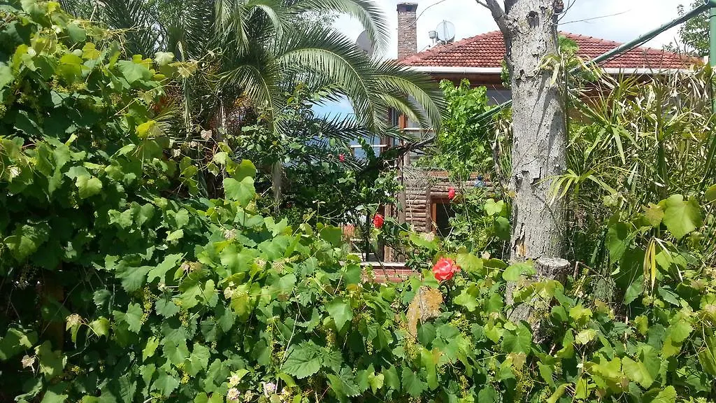 Sun Dalyan Hotel And Organic Farm