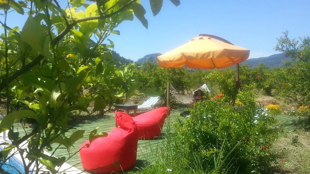 Sun Dalyan Hotel And Organic Farm 0*,  Türkiye