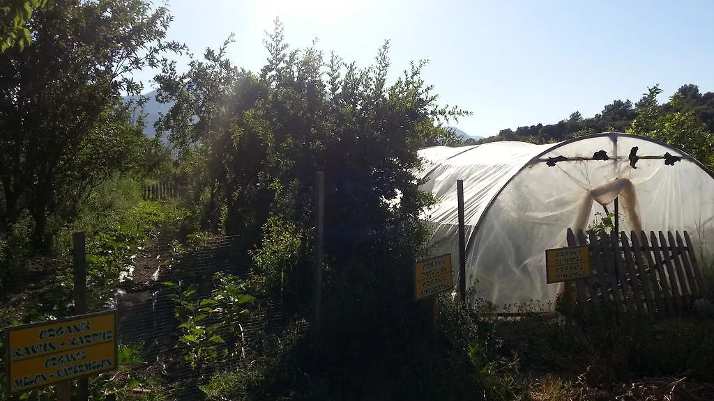 Sun Dalyan Hotel And Organic Farm